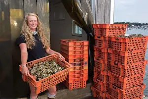 Brickwork Prints: Female shellfish farmer holding crate of oysters