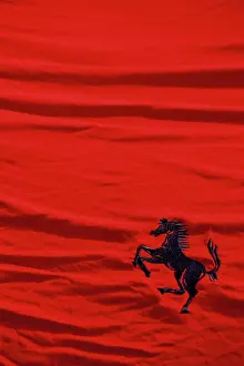 Logo Prints: Ferrari car cover prancing horse logo red