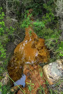 Ambiance Prints: Ferric bacteria in a spring. Precipitation of dissolved iron into oxidized ferric iron by the action of ferrobacteria