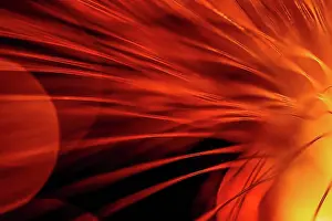 Beam Prints: Fibre Optic Abstract