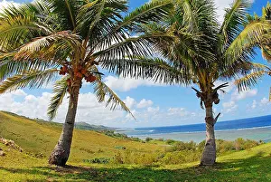 Greenery Prints: Fiji, Viti Levu, Coral Coast, two coconut palm trees with green mountains