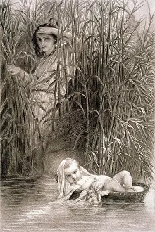 Old Testament Prints: Finding of the Baby Moses in a Reed Basket Floating on the Nile Artist Unknown
