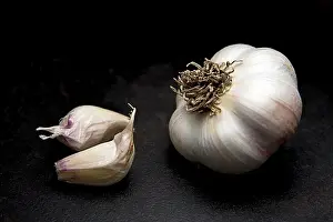 Ingredient Prints: A fine art studio photo of a raw garlic bulb and a couple of cloves