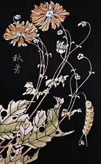 Private Collection Prints: fine arts, Ito Jakuchu (1716 - 1800)
