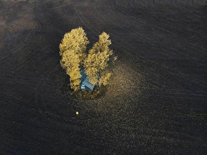 Aerial Prints: Finland, Kuopio, woman in yellow rain jacket walking towards autumnal trees, aerial view