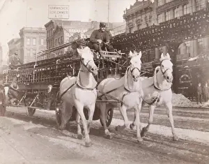 Horse Drawn Prints: Firemen on old horse drawn