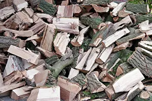 Pile Prints: Firewood, ash, split, wood, in pieces