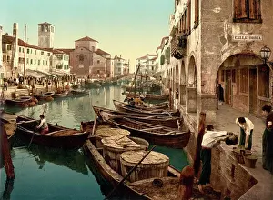 Out Door Prints: Fish Market, Chioggia, Venice, Italy, Photochrome Print, Detroit Publishing Company, 1900