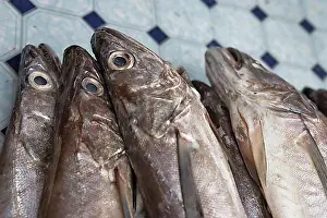 Trade Prints: Fish market, Puerto Mont, Region de los Lagos, Chile, South America