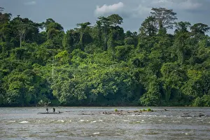 Woody Plant Prints: Fishermen on the Ogüe River, (Ogoue)