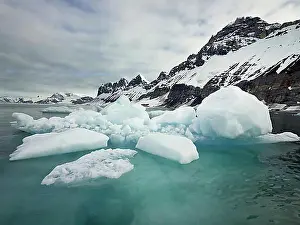 Pack Ice Prints: Fjord with pack ice, Spitsbergen Island