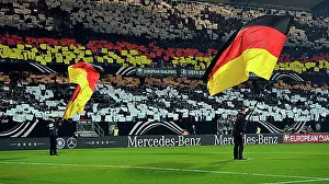 Sports Facility Prints: Flag wavers before the start of the game
