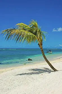 Townscapes Prints: Flic en Flac beach, with palm tree and boat, Mauritius, Africa