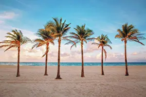 Heaven Prints: Florida empty beach landscape with six palm trees and ocean at sunset