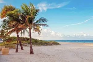 Florida Prints: Florida empty beach landscape with palm trees and ocean at sunset