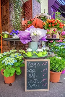 Tulip Prints: Florist shop, Cabourg, Normandy, France