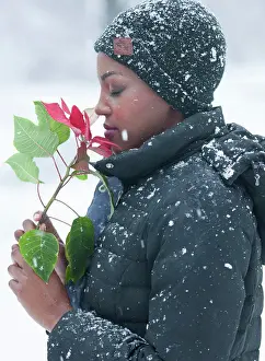 Smelling Prints: A Flower in the Snow