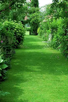 Afrasia Prints: Flowered path at the garden Les Jardins d'Angélique