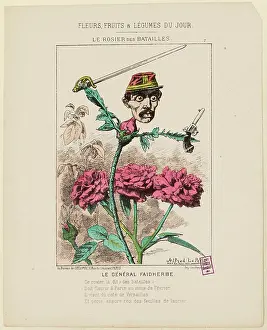 Vegetables Prints: Flowers, Fruits & Vegetables of the day / 7. / The Battle Rosier / General Faidherbe