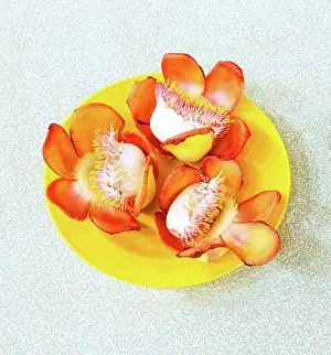 Flower Head Prints: Flowers on a plate, Myanmar