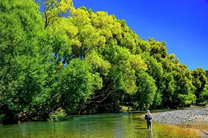 Fly Fishing Prints: Fly Fishing on the beloved Mataura River in N.Z