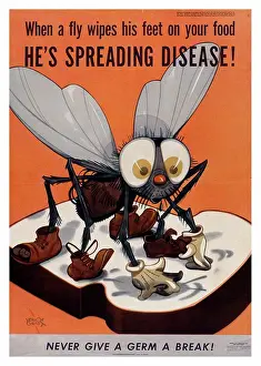 Diseases Prints: When a fly wipes his feet on your food