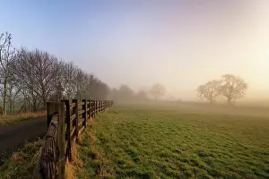 Dreamy Prints: Foggy morning in a farm in english countryside at sunrise with trees