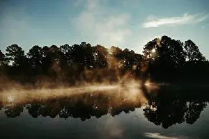 Texas Prints: Foggy Sunrise at Lake Bastrop South Shore Park
