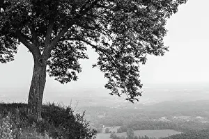 Foggy Prints: Foggy view from mountaintop in black & white