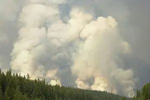 Smoking Prints: Forest fire, controlled burn, Saskatchewan Valley