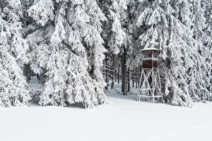 Baume Prints: Forest, winter, high seat, forests