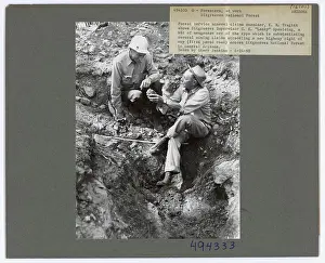 Foresters at Work - Arizona. Photographs Relating to National Forests