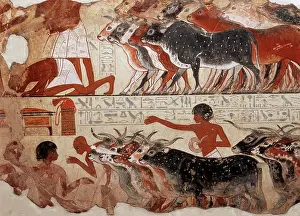 Destination Prints: Fragment of a tomb painting dating from around 1400 BC from Thebes