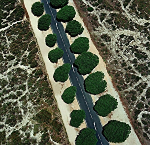 Natural Pattern Prints: France, Corsica, Aerial view of coastal road near Ajaccio Airport