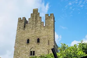 Emily Wilson Prints: France, Languedoc-Roussillon, ancient fortified city of Carcassonne