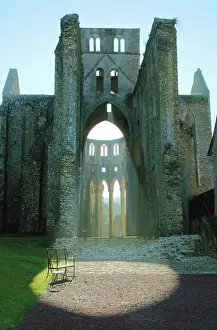 Peninsula Prints: France, Normandy, Manche department (50), Hambye abbey, abbatiale church