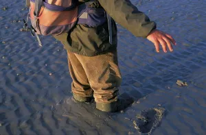 Geography Prints: France, Normandy, Manche, Mont Saint Michel bay, man in quicksand