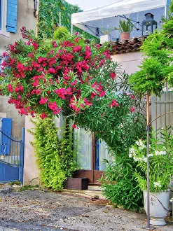 Provence Prints: France, Provence. Streets along the small hamlet of Les Huguets near the town of Roussillon