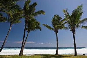 France, Reunion Island, South Reunion, Grande Anse beach