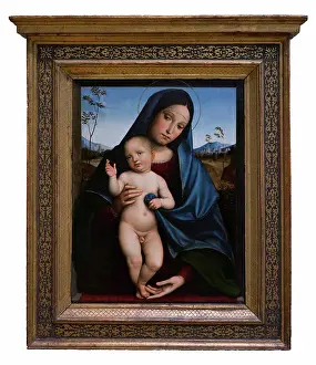 Innocent Prints: Francesco Francia; Italian; Bologna 1447-1517 Bologna; Madonna and Child; Oil on wood