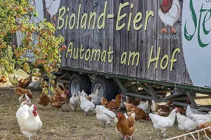 Eggs Prints: Free-range hens, organic eggs from the farm in Deggenhausertal