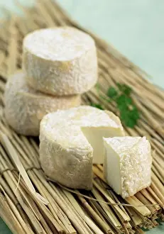 Cheese Prints: French Cheese Called Crottin De Chevre, A Goat Cheese