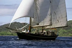 Seas Prints: The French double masted schooner LA VIOLANTE