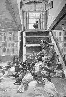 Loft Prints: French military pigeon loft. There were ten such lofts in Paris