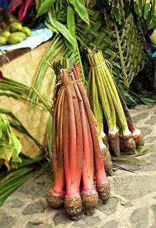 Purchase Prints: French Polynesia, Taro root at market