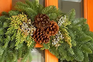 Occasion Prints: Fresh holiday door hanging