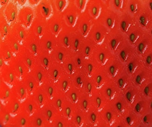 Prepare Prints: Fresh organic strawberries on a kitchen table, healthy food