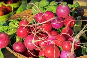 Selling Prints: Fresh radishes at farmer's market, USA