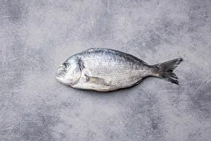 Seafood Prints: Fresh sea bream fish on kitchen table