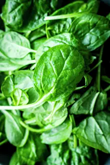 Filling The Picture Prints: Fresh spinach